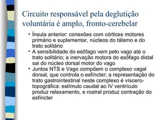 Circuito responsável pela deglutição voluntária é amplo, fronto-cerebelar Ínsula anterior: conexões com córtices motores primário e suplementar, núcleos do tálamo e do trato solitário A sensibilidade do esôfago vem pelo vago até o trato solitário; a inervação motora do esôfago distal sai do núcleo dorsal motor do vago Juntos NTS e Vago compõem o complexo vagal dorsal, que controla o esfíncter; a representação do trato gastrointestinal neste complexo é víscero-topográfica: estímulo caudal ao IV ventrículo produz relaxamento, e rostral produz contração do esfíncter 