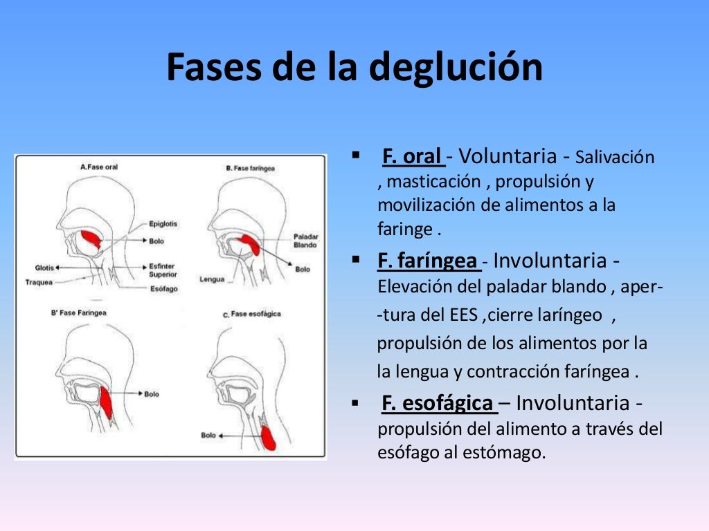 (13062013) Disfagia (ppt)