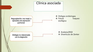 Clínica asociada
Regurgitación, voz nasal, o
episodios de aspiración
pulmonar
 Disfagia orofaríngea
 Fístula traqueo
esofágica
Disfagia no relacionada
con la deglución
 Acalasia,ERGE
 Divertículo de Zenker
 