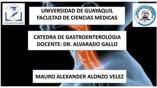 UNIVERSIDAD DE GUAYAQUIL
FACULTAD DE CIENCIAS MEDICAS
CATEDRA DE GASTROENTEROLOGIA
DOCENTE: DR. ALVARADO GALLO
MAURO ALEXANDER ALONZO VELEZ
 