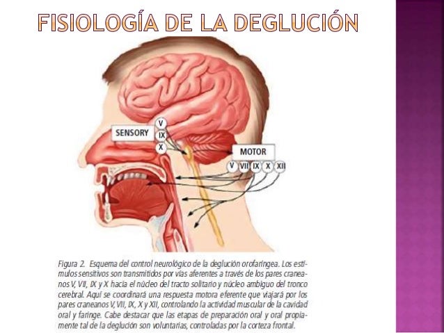 Si después de la avería duele la espalda