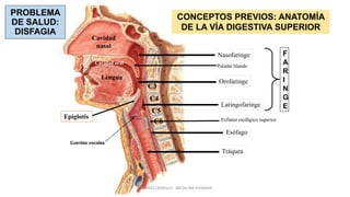 C3
C4
C5
C6
Lengua
Epiglotis
Nasofaringe
Orofaringe
Laringofaringe
F
A
R
I
N
G
E
Cavidad
nasal
Esófago
Tráquea
Paladar blando
Esfínter esofágico superior
Cavidad oral
Cuerdas vocales
PROBLEMA
DE SALUD:
DISFAGIA
CONCEPTOS PREVIOS: ANATOMÍA
DE LA VÍA DIGESTIVA SUPERIOR
RICARDO CARRILLO - MEDICINA HUMANA
 