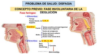  Aferentes:
 Centro:
 Eferentes:
Faringe
Paladar blando, vía V, IX, X
Epiglotis
Bulbo
Vía V, VII, X, XII
Bolo al esófago
Boca
Glotis
Nasofaringe
Núcleo del tracto solitario
Núcleo ambiguo
Núcleo motor dorsal del X
Fase faríngea:
Puente
Núcleo sensitivo principal trigeminal
Núcleo motor trigeminal
Cerradas
Centro de la deglución
PROBLEMA DE SALUD: DISFAGIA
CONCEPTO PREVIO: FASE INVOLUNTARIA DE LA
DEGLUCIÓN
RICARDO CARRILLO - MEDICINA HUMANA
 
