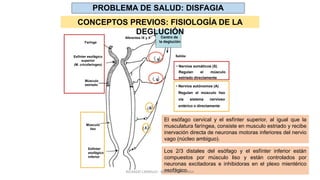 Centro de
la degluciónFaringe
Esfínter esofágico
superior
(M. cricofaríngeo)
Músculo
estriado
Músculo
liso
Esfínter
esofágico
inferior
Aferentes IX y X
S
S
Salida:
• Nervios somáticos (S)
Regulan el músculo
estriado directamente
• Nervios autónomos (A)
Regulan el músculo liso
vía sistema nervioso
entérico o directamente
PROBLEMA DE SALUD: DISFAGIA
CONCEPTOS PREVIOS: FISIOLOGÍA DE LA
DEGLUCIÓN
El esófago cervical y el esfínter superior, al igual que la
musculatura faríngea, consiste en musculo estriado y recibe
inervación directa de neuronas motoras inferiores del nervio
vago (núcleo ambiguo).
Los 2/3 distales del esófago y el esfínter inferior están
compuestos por músculo liso y están controlados por
neuronas excitadoras e inhibidoras en el plexo mientérico
esofágico.RICARDO CARRILLO - MEDICINA HUMANA
 