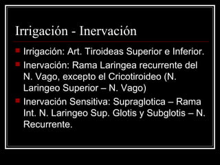 Irrigación - Inervación
 Irrigación: Art. Tiroideas Superior e Inferior.
 Inervación: Rama Laringea recurrente del
N. Vago, excepto el Cricotiroideo (N.
Laringeo Superior – N. Vago)
 Inervación Sensitiva: Supraglotica – Rama
Int. N. Laringeo Sup. Glotis y Subglotis – N.
Recurrente.
 
