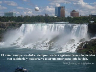 El amor aunque sea dulce, siempre tiende a agriarse pero si lo mezclas con sabiduría y madurez va a ser un amor para toda la vida.  