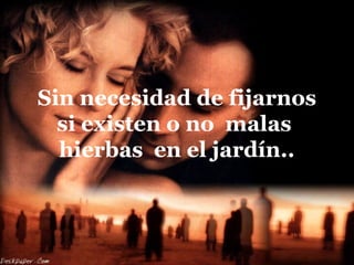 Sin necesidad de fijarnos
si existen o no malas
hierbas en el jardín..
 