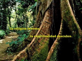 La religión inventa;

             la espiritualidad descubre.
 