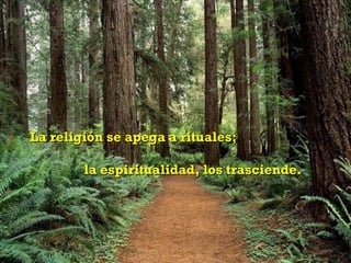 La religión se apega a rituales;

        la espiritualidad, los trasciende.
 