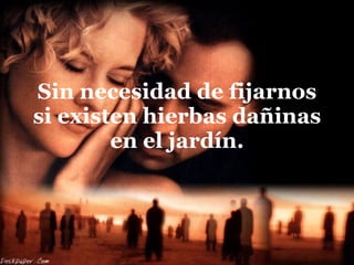 Sin necesidad de fijarnos si existen hierbas dañinas en el jardín. 