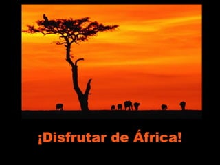 ¡Disfrutar de África!
 