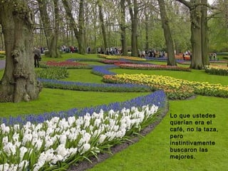 Lo que ustedes querían era el café, no la taza, pero instintivamente buscaron las mejores. 