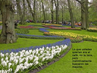 Lo que ustedes
querían era el
café, no la taza,
pero
instintivamente
buscaron las
mejores.
 