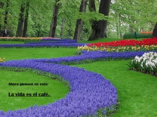 Ahora piensen en esto:

La vida es el café.
 