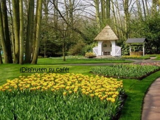 ¡Disfruten su café!
 