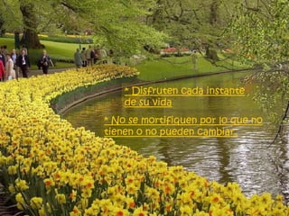 * Disfruten cada instante
    de su vida
* No se mortifiquen por lo que no
tienen o no pueden cambiar.
 