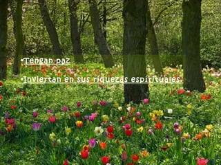 •Tengan paz

•Inviertan en sus riquezas espírituales.
 
