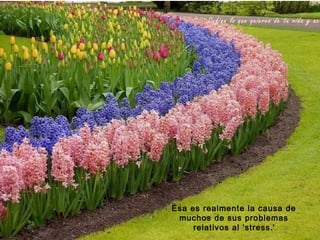 Define lo que quieres de tu vida y act




Ésa es realmente la causa de
 muchos de sus problemas
     relativos al 'stress .'
 