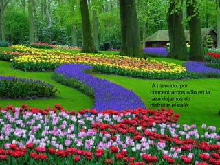 A menudo, por concentrarnos sólo en la taza dejamos de disfrutar el café. 