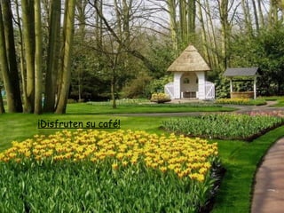 ¡Disfruten su café! 