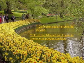 * Disfruten cada instante de su vida * No se mortifiquen por lo que no tienen o no pueden cambiar. 