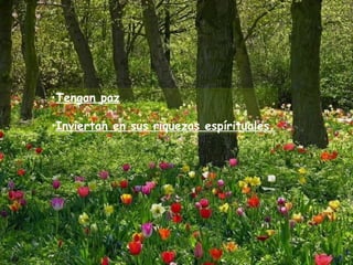 Tengan paz Inviertan en sus riquezas espírituales. 