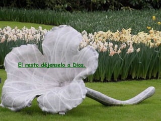 El resto déjenselo a Dios. 