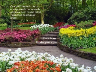 Cuando lo hubieron hecho, el viejo maestro se aclaró la garganta y con mucha calma y paciencia se dirigió al grupo:  Escalar paso a paso Uno a la vez 