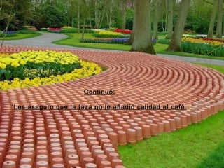 Continuó: 'Les aseguro que la taza no le añadió calidad al café. 