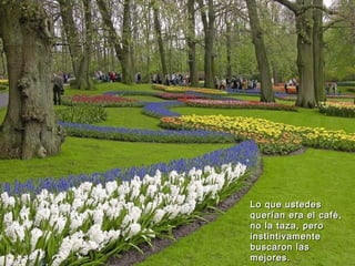 Lo que ustedes
querían era el café,
no la taza, pero
instintivamente
buscaron las
mejores.
 