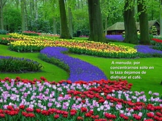 A menudo, por
concentrarnos sólo en
la taza dejamos de
disfrutar el café.
 