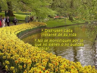 * Disfruten cada
   instante de su vida
* No se mortifiquen por lo
que no tienen o no pueden
cambiar.
 