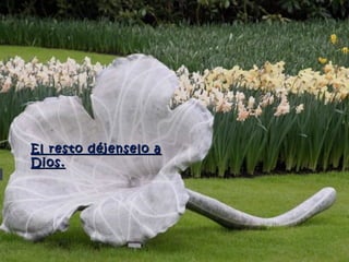 El resto déjenselo a
Dios.
 