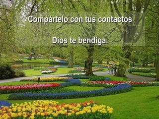 Compártelo con tus contactos

      Dios te bendiga.
 