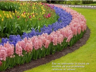 Define lo que quieres de tu vida y ac




Ésa es realmente la causa de
muchos de sus problemas
relativos al 'stress .'
 