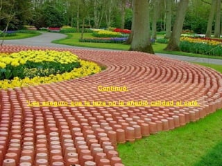 Continuó:

'Les aseguro que la taza no le añadió calidad al café.
 