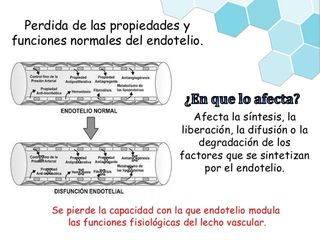 disfunción endotelial en diabetes mellitus