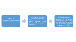 Fase flácida
Circulación arterial y venosa
mínima.
Fase latente (llenado)
Flujo aumentado en la
arteria pudenda interna,
dúrate las fases sistólica y
diastólica.
Fase de tumefacción
Elevación de la presión
intracavernosa, hasta que se
logra la erección completa. El
pene muestra mas expansión
y elongación con el pulso.
 