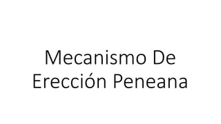 Mecanismo De
Erección Peneana
 
