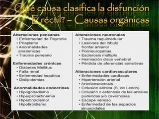Qué causa clasifica la disfunción
  Eréctil? – Causas orgánicas
 