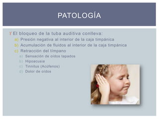  El bloqueo de la tuba auditiva conlleva:
a) Presión negativa al interior de la caja timpánica
b) Acumulación de fluidos al interior de la caja timpánica
c) Retracción del tímpano
a) Sensación de oídos tapados
b) Hipoacusia
c) Tinnitus (Acúfenos)
d) Dolor de oídos
PATOLOGÍA
 