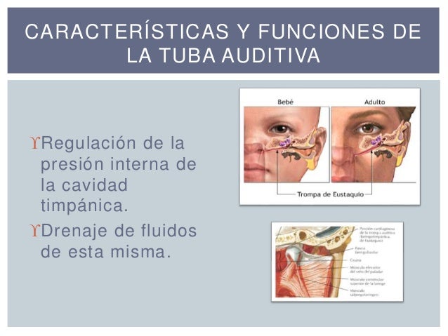 Disfunción tubarica