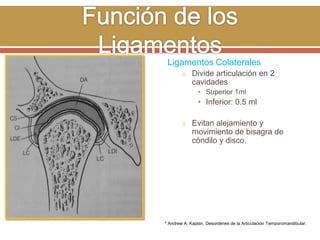 Ligamentos Colaterales
o Divide articulación en 2

cavidades
• Superior 1ml

• Inferior: 0.5 ml
o Evitan alejamiento y

movimiento de bisagra de
cóndilo y disco.

* Andrew A. Kaplan, Desordenes de la Articulación Temporomandibular.

 