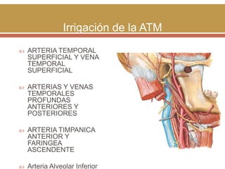 Irrigación de la ATM


ARTERIA TEMPORAL
SUPERFICIAL Y VENA
TEMPORAL
SUPERFICIAL



ARTERIAS Y VENAS
TEMPORALES
PROFUNDAS
ANTERIORES Y
POSTERIORES



ARTERIA TIMPANICA
ANTERIOR Y
FARINGEA
ASCENDENTE



Arteria Alveolar Inferior

 