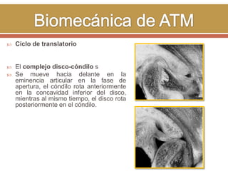 

Ciclo de translatorio



El complejo disco-cóndilo s
Se mueve hacia delante en la
eminencia articular en la fase de
apertura, el cóndilo rota anteriormente
en la concavidad inferior del disco,
mientras al mismo tiempo, el disco rota
posteriormente en el cóndilo.



 
