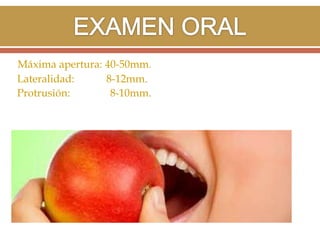 Máxima apertura: 40-50mm.
Lateralidad:
8-12mm.
Protrusión:
8-10mm.

 