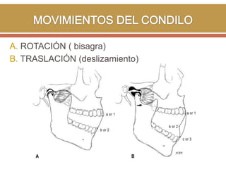 A. ROTACIÓN ( bisagra)
B. TRASLACIÓN (deslizamiento)

 
