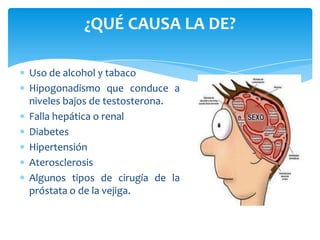 ¿QUÉ CAUSA LA DE?

Uso de alcohol y tabaco
Hipogonadismo que conduce a
niveles bajos de testosterona.
Falla hepática o renal
Diabetes
Hipertensión
Aterosclerosis
Algunos tipos de cirugía de la
próstata o de la vejiga.
 