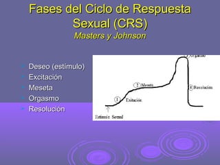 Fases del Ciclo de Respuesta
Sexual (CRS)
Masters y Johnson







Deseo (estímulo)
Excitación
Meseta
Orgasmo
Resolución

 