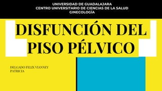 DISFUNCIÓN DEL
PISO PÉLVICO
UNIVERSIDAD DE GUADALAJARA
CENTRO UNIVERSITARIO DE CIENCIAS DE LA SALUD
GINECOLOGÍA
DELGADO FELIX VIANNEY
PATRICIA
 